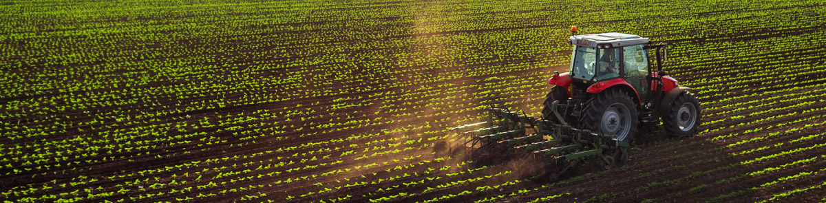 Tractor in field